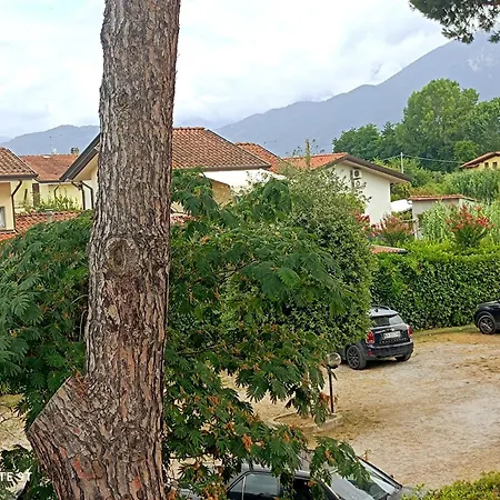 Comodo Versilia